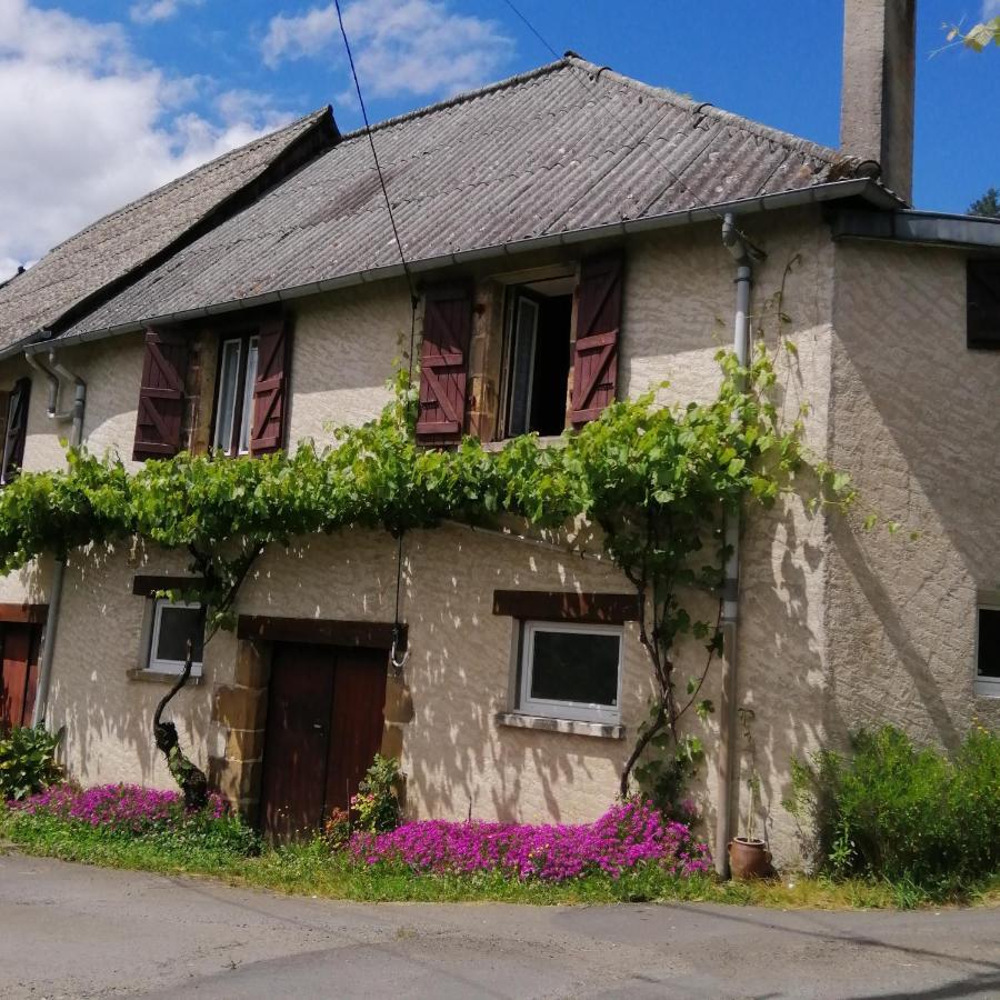 Maison Familiale Coteaux De La Vezere Voutezac Kültér fotó